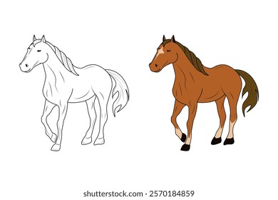 A Brown Horse isolated black and white outline with colour guide for coloring book