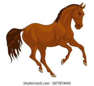 Brown horse with mane thrown to the other side of the neck. Galloping stallion pricked up its ears and looks with interest. Vector emblem, design element for stud farms and equestrian clubs.