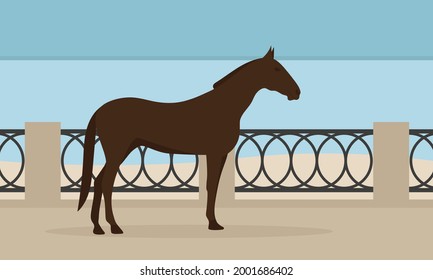 Brown horse on the embankment