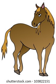 Brown horse on white background - vector illustration.