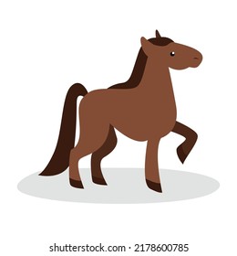 brown horse on white background