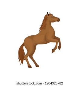 Brown horse rearing up. Animal with hooves, beautiful flowing mane and long tail. Flat vector design