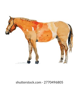 A brown horse standing alone profile view