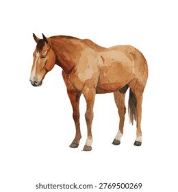 A brown horse standing with head down