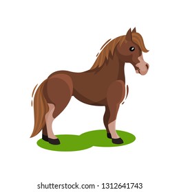 Brown horse standing on green grass, side view. Hoofed animal with beautiful mane and long tail. Flat vector design