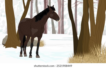 Brown horse standing on snow in winter forest. Realistic vector landscape