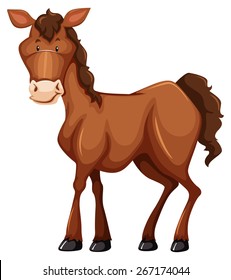 Brown horse in a standing pose