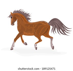 Brown horse vector illustration