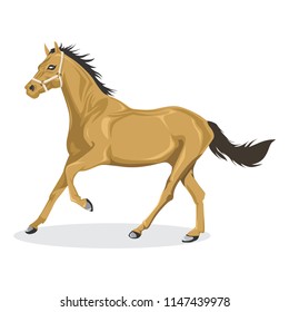Brown Horse Vector Illustration isolated on White Background