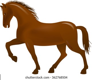 Brown Horse White Background Stock Vector (Royalty Free) 362768504 ...