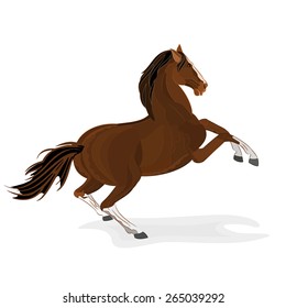 Brown horse wild stallion isolated  vector illustration