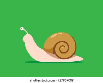 Brown House Snail on the green background