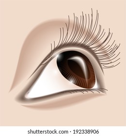 Brown human eye close-up