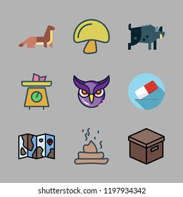 brown icon set. vector set about owl, map, weasel and eraser icons set.