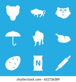 Brown icons set. set of 9 brown filled icons such as potato, bear, buffalo, bag with ground, chicken, dough pin