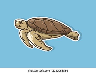 Brown illustration color of turtle on blue background design
