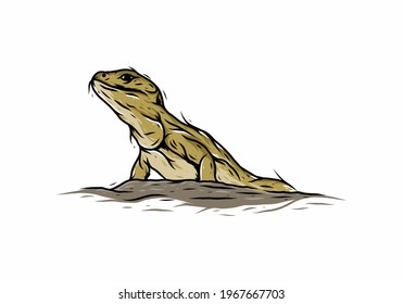 Brown illustration lizard line art drawing design