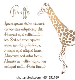 Brown ink hand drawn giraffe background with place for text.Cute vector illustration. Sketch style.