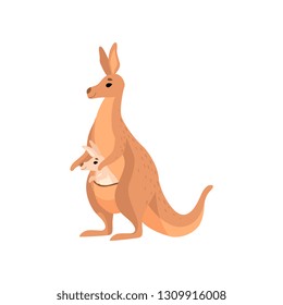 Brown Kangaroo Carrying Baby in Its Pouch, Cute Wallaby Australian Animal Mother Character Vector Illustration