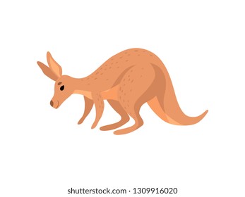 Brown Kangaroo, Cute Wallaby Australian Animal Character Vector Illustration