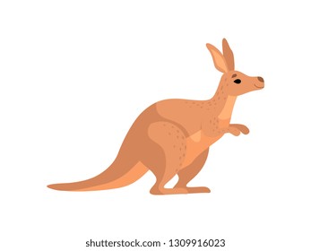 Brown Kangaroo, Cute Wallaby Australian Animal Character, Side View Vector Illustration