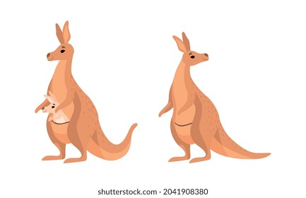 Brown Kangaroo Marsupial Animal with Powerful Hind Legs and Joey in Pouch Vector Set