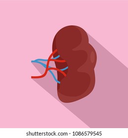 Brown kidney icon. Flat illustration of brown kidney vector icon for web design