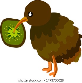A brown kiwi bird eating a kiwi fruit, vector, color drawing or illustration.