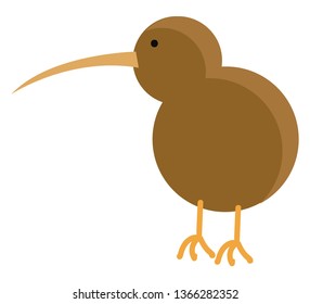 Brown kiwi bird illustration vector on white background