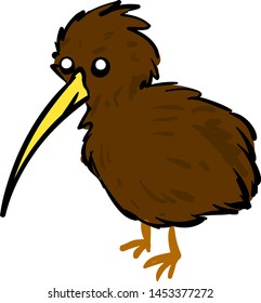 Brown kiwi bird, illustration, vector on white background.