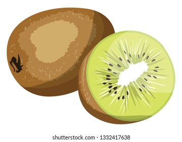 Fruta kiwi marrón y kiwi verde medio vector ilustración sobre fondo blanco.