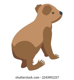 Brown koala icon isometric vector. Cute bear. Tree animal