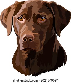 Brown Labrador Retriever Head Vector Illustration