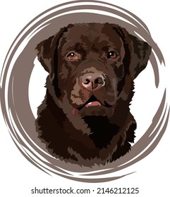 Brown labrador retriever portrait design. Vector illustration