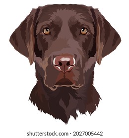 braune Labrador-Retriever-Vektorgrafik