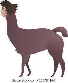 Brown lama with human head