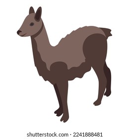 Brown lama icon isometric vector. Cool baby. Cute animal