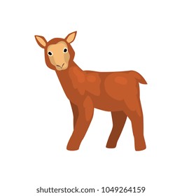 Brown lamb, cute farm animal vector Illustration on a white background