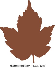 Brown leaf