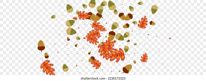 Brown Leaf Background Transparent Vector. Foliage Outline Set. Green Acorn. Decorative Illustration. Golden Oak Fly.