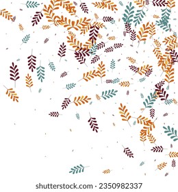 Brown Leaf Background White Vector. Plant Season Texture. Orange Herb. Yellow Foliage Rowan. Agriculture Frame.