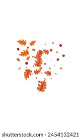 Brown Leaf Background White Vector. Plant Paper Frame. Yellow Acorn. November Set. Green Leaves September.