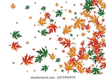 Brown Leaf Background White Vector. Foliage Abstract Pattern. Gold Giving. Bright Frame. Green Plant Fall.