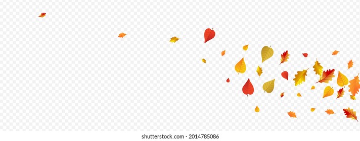 Brown Leaf Vector Panoramic Transparent Background. Bright Floral Design. Green Pattern Foliage Texture. Canadian Template.