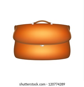 Brown leather bag