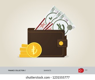Brown leather wallet with 20 Turkish Lira Banknote and coins. Flat style vector illustration. Business concept. 