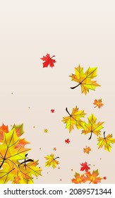 Brown Leaves Background BeigeVector. Leaf November Design. Colorful Shape Floral. Celebrate Plant Texture.
