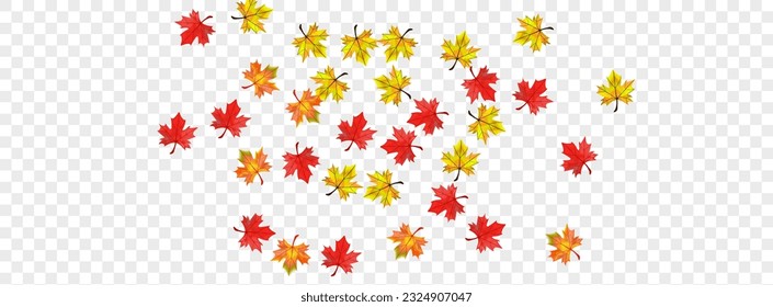 Brown Leaves Background Transparent Vector. Floral Decor Illustration. Yellow Nature Plant. September Leaf Frame.