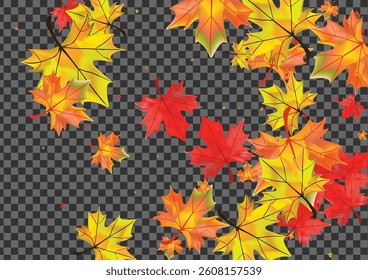 Brown Leaves Background Transparent Vector. Foliage Celebrate Design. Golden Realistic Leaf. Down Floral Texture.