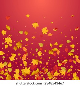 Brown Leaves Vector Red Background. November Leaf Texture. Green Realistic Floral Illustration. Canadian Card.